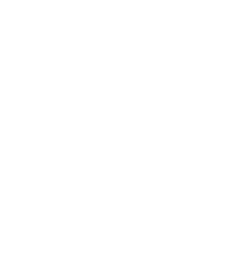 Roots Capital & Partners